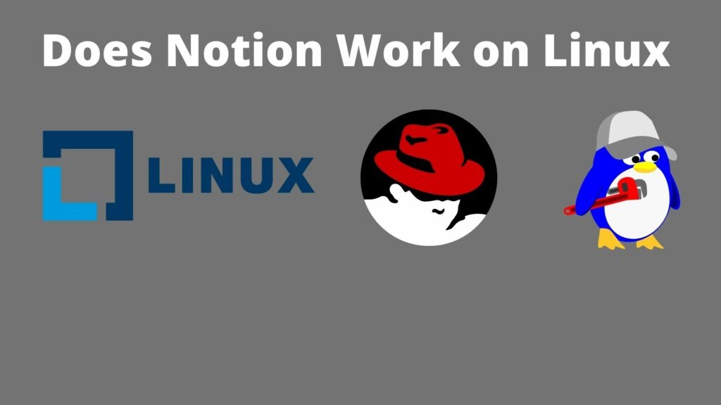 Does Notion Work on Linux
