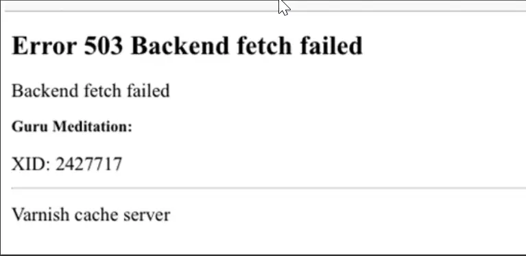 Error 503 Backend fetch failed